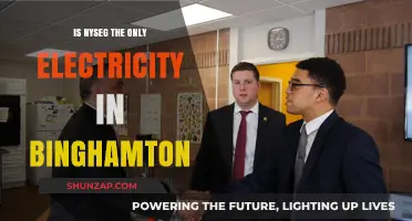 Electricity in Binghamton: NYSEG's Monopoly Explained