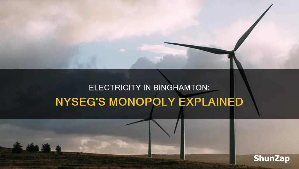 is nyseg the only electricity in binghamton