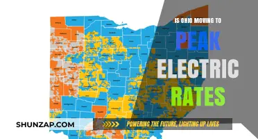 Ohio's Electric Rates: Peak Pricing and the Future