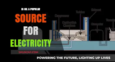 Oil's Role in Power Generation: A Popular Choice?