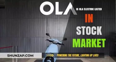 Ola Electric: Stock Market Listing Prospects