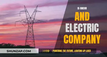 Oncor: Electric Company or Something More?