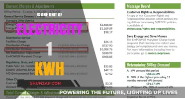 Understanding the Basics: 1 Unit of Electricity Equals 1 kWh