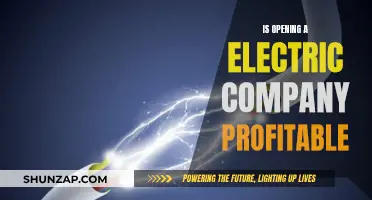Electric Company Profits: A Worthy Investment?