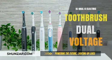 Oral-B Electric Toothbrush: International Travel-Friendly?