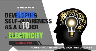 Electricity's Effect on the Orphan of Kos