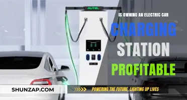 Is Owning an Electric Car Charging Station Profitable?