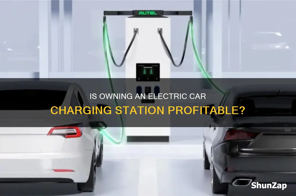 is owning an electric car charging station profitable