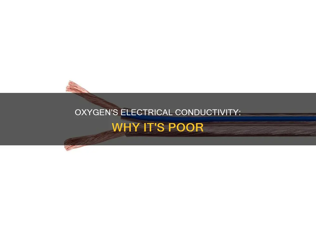 is oxygen a poor conductor of electricity