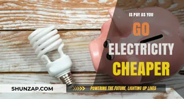 Pay-As-You-Go Electricity: Cheaper or Not?