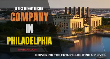 Electric Companies in Philadelphia: Peco and Its Competitors