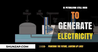 Is Petroleum Still a Key Player in Electricity Generation?