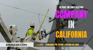 California's Electricity: PG&E's Monopoly and its Impact