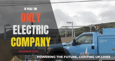 Electric Companies: PG&E and Its Competitors