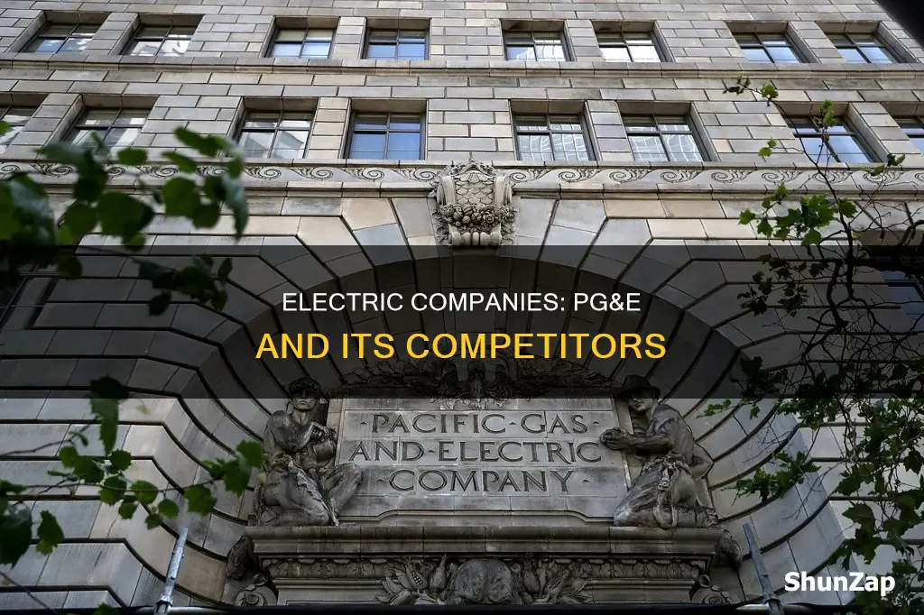 is pg&e the only electric company