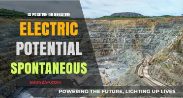 Understanding the Spontaneity of Electric Potential Signs