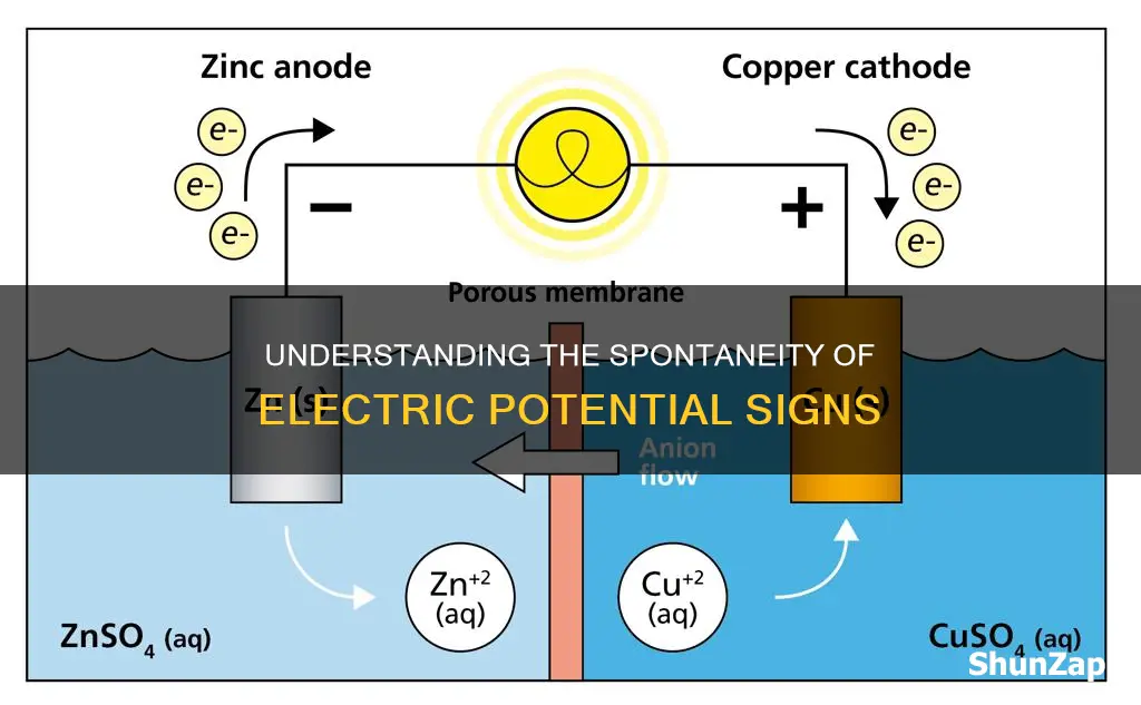 is positive or negative electric potential spontaneous