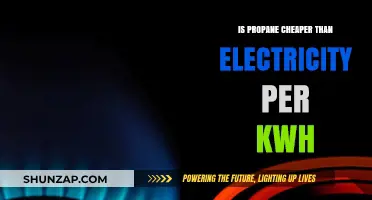 Propane vs. Electricity: Which Is the Cheaper Energy Source?