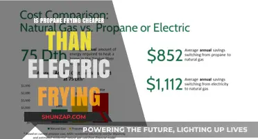 Propane vs. Electric Frying: Which Is the Cheaper Option?
