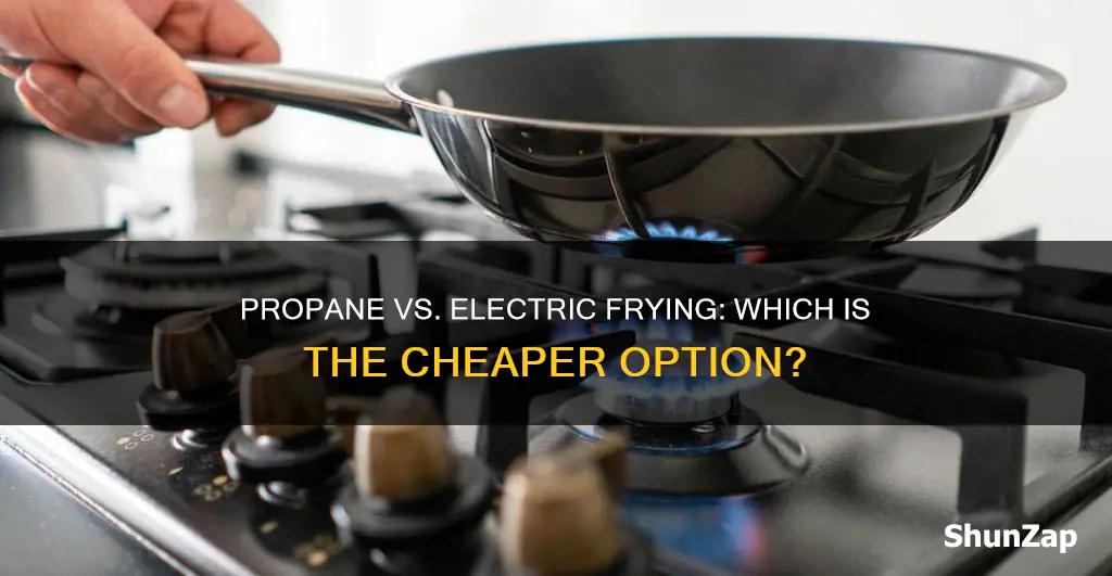 is propane frying cheaper than electric frying