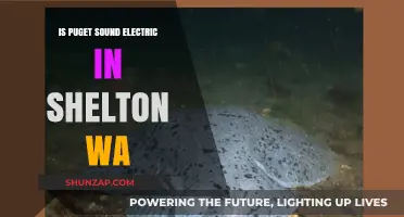 Electricity in Shelton: Puget Sound Electric's Power