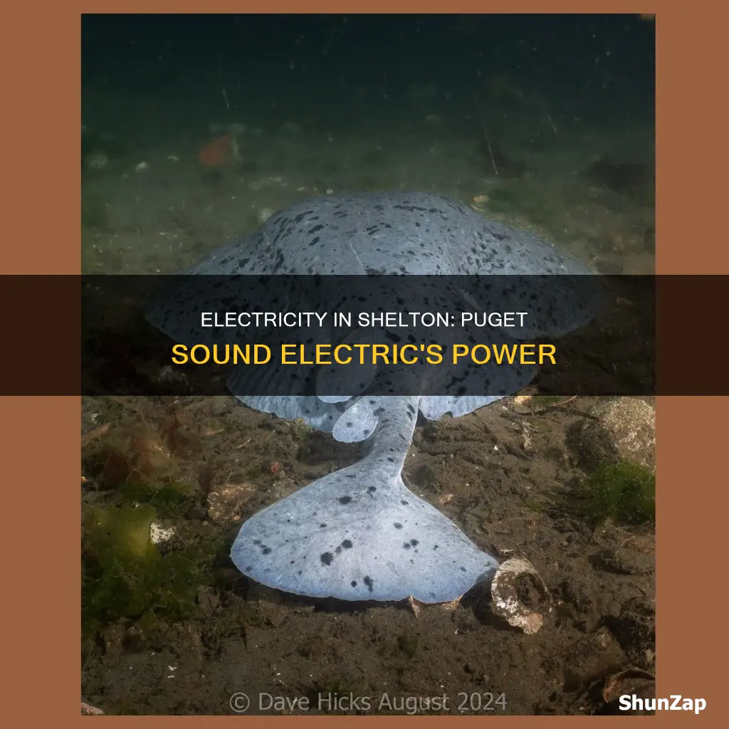 is puget sound electric in shelton wa