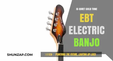 The Quiet Gold Tone EBT: Banjo's Evolution