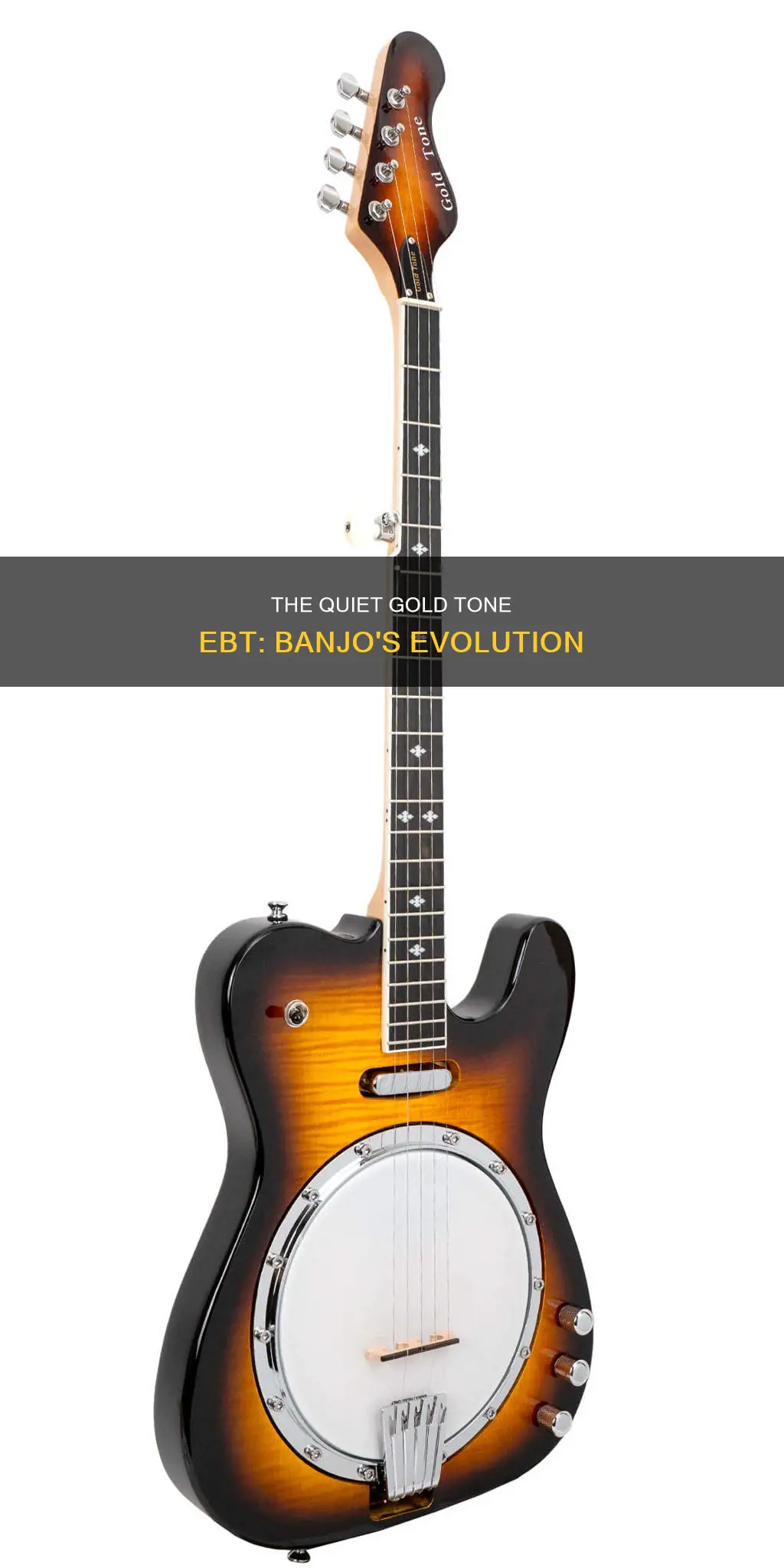 is quiet gold tone ebt electric banjo