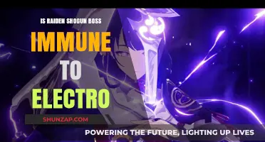 Raiden Shogun: Electro Immunity and Strategies