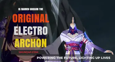 The Mystery of Raiden Shogun's True Identity