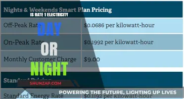 Electricity Rates: Cheaper Day or Night?