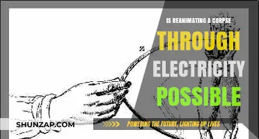 Can Electricity Reanimate Corpses?