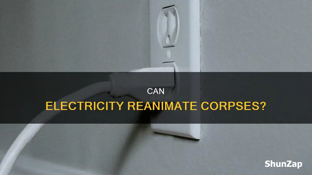is reanimating a corpse through electricity possible