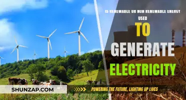 Renewable vs. Non-Renewable Energy: Powering Electricity Generation