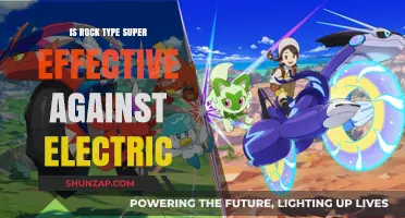 Rock-Type Pokémon: Electric-Proof Shields?
