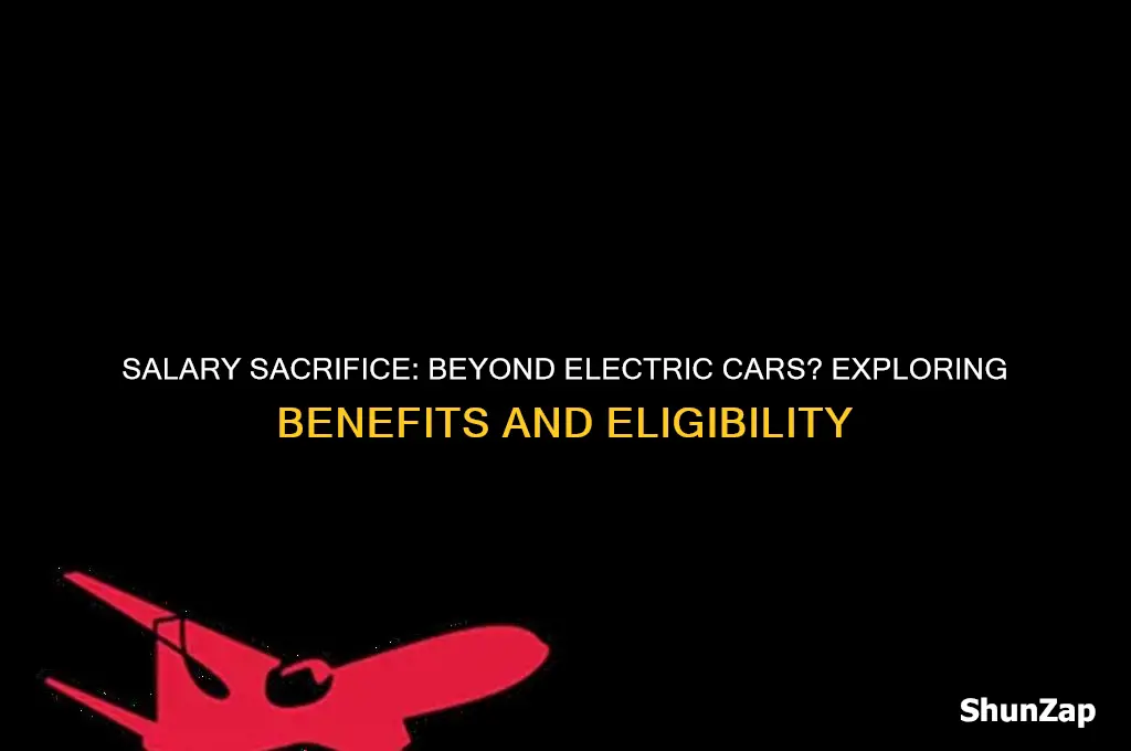 is salary sacrifice only for electric cars