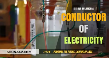 Salt Solution: Electric Conductor or Not?