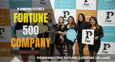 Schneider Electric: A Fortune 500 Company?