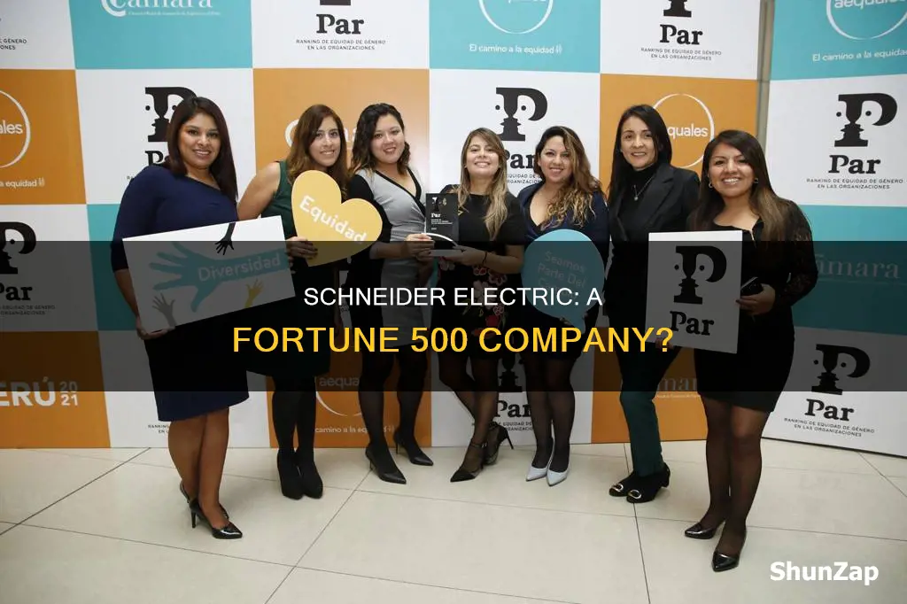 is schneider electric a fortune 500 company