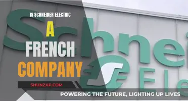 Schneider Electric: A French Company's Global Reach and Impact