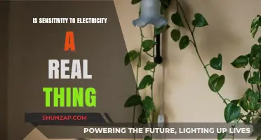 Electrical Sensitivity: Is It Real or Just in Your Head?