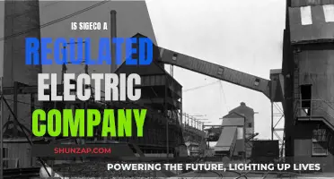 Sigeco Electric Company: Regulated or Not?