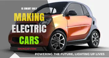 Is Smart Exclusively Shifting to Electric Vehicles? Exploring the Brand's Future