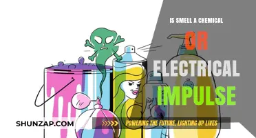 How Does Smell Work? Electrical or Chemical?