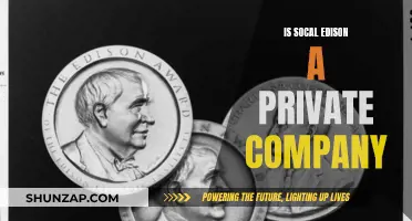 Southern California Edison: A Private Power Company?