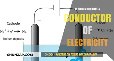 Sodium Chloride: Conducting Electricity or Not?