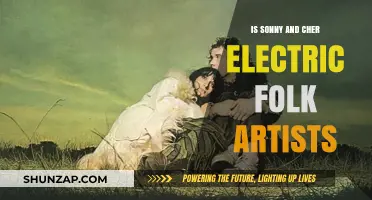 Sonny and Cher: Electric Folk Artists?