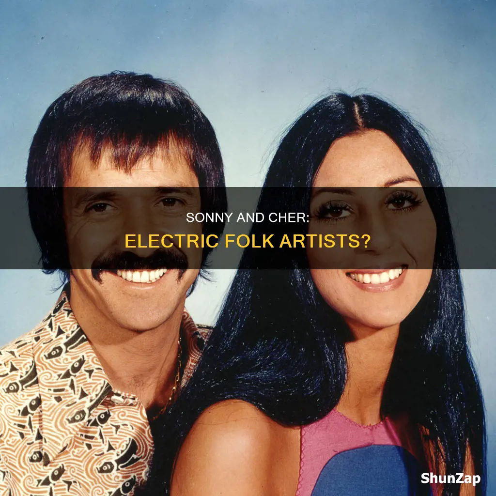 is sonny and cher electric folk artists