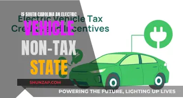 South Carolina's EV Tax Exemption: A Green Car Owner's Guide