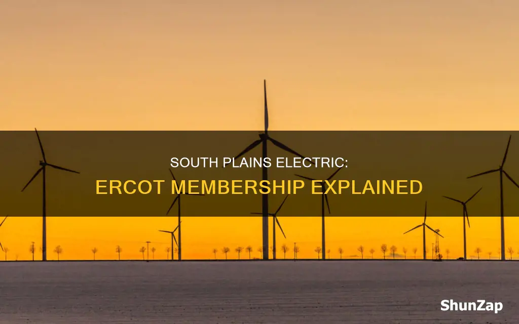 is south plains electric part of ercot